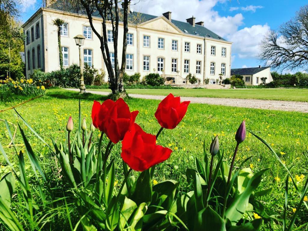 Hotel Du Chateau De Quinéville Exteriér fotografie